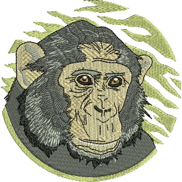 wm927 Miniaturansicht