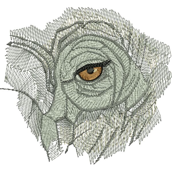 WO339 Miniaturansicht