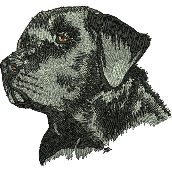 Rc468 Miniaturansicht