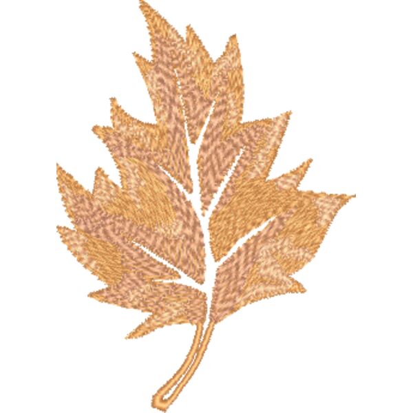 FP021 Miniaturansicht