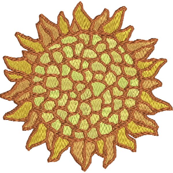 NZ634 Miniaturansicht