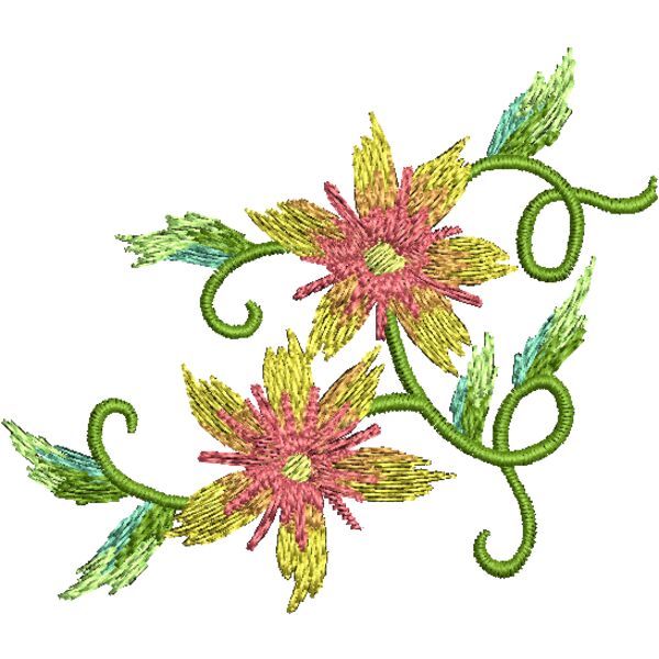 FP243 Miniaturansicht