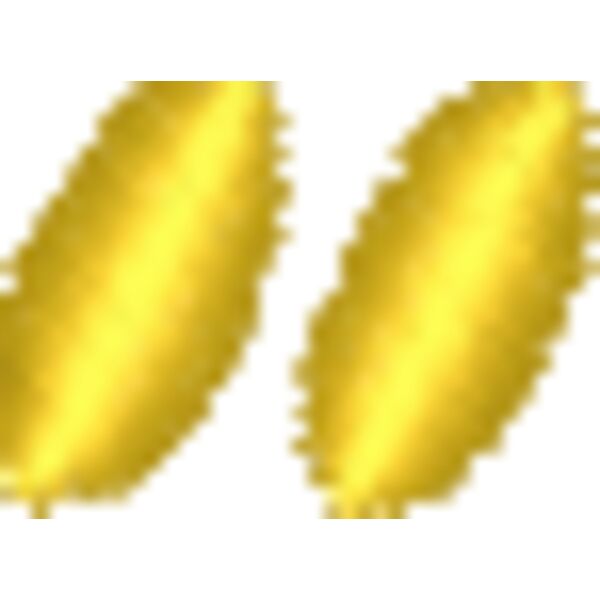 FA531 Miniaturansicht