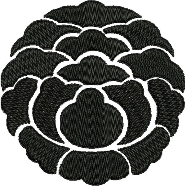 NZ580 Miniaturansicht