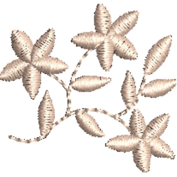 NZ791 Miniaturansicht