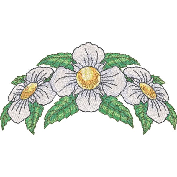 NZ089 Miniaturansicht