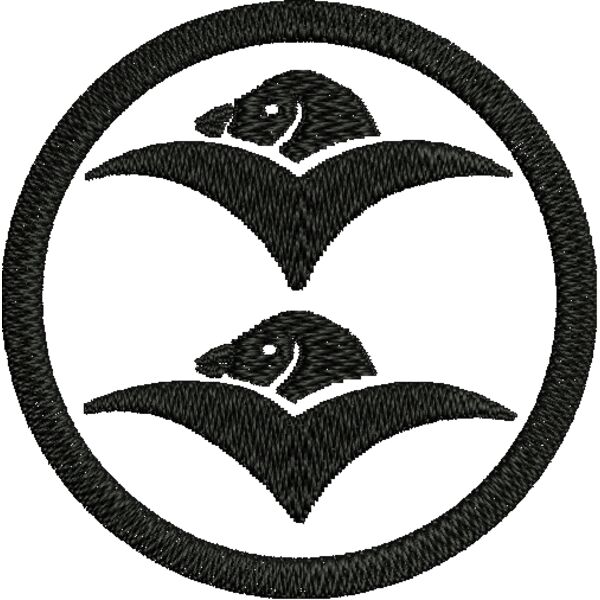 NZ538 Miniaturansicht