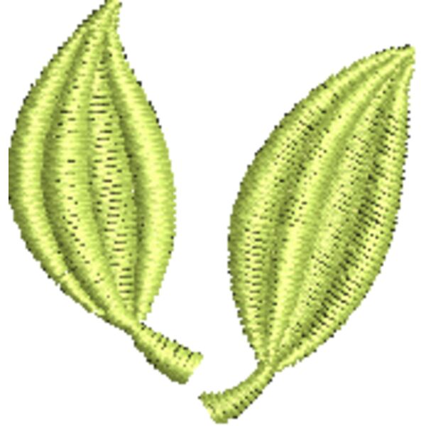 NZ797 Miniaturansicht