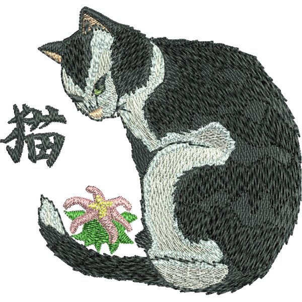 FP323 Miniaturansicht