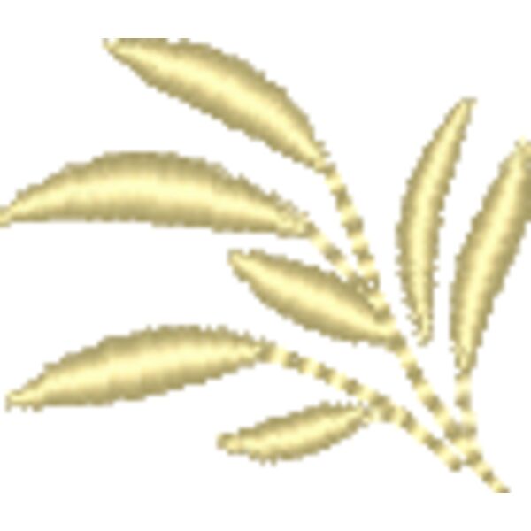 NZ815 Miniaturansicht