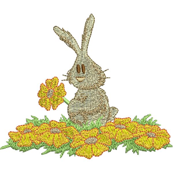 NX647 Miniaturansicht