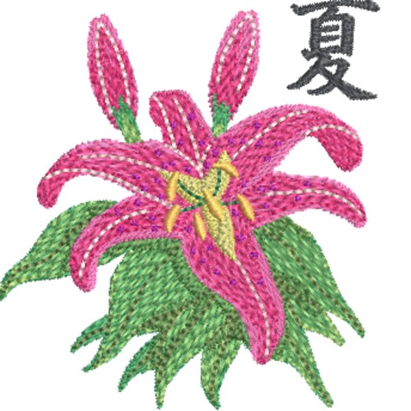 FP324 Miniaturansicht