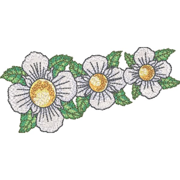 NZ087 Miniaturansicht