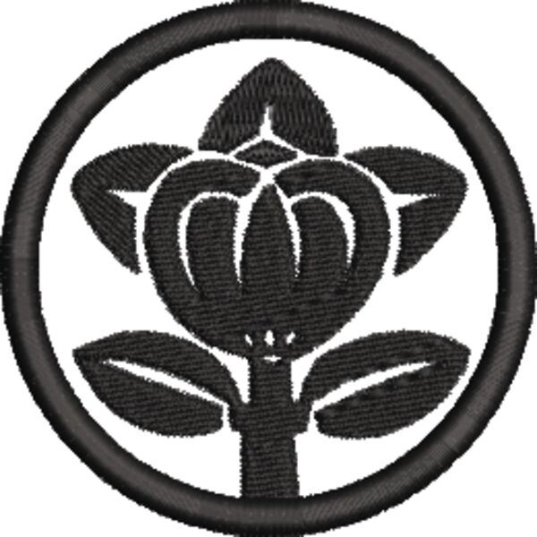 NZ536 Miniaturansicht