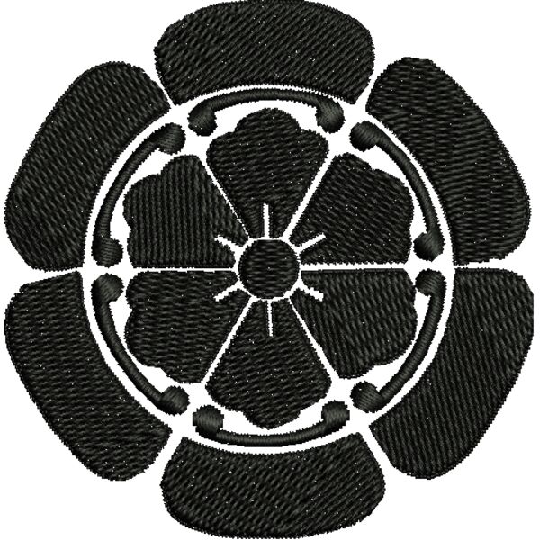 NZ554 Miniaturansicht