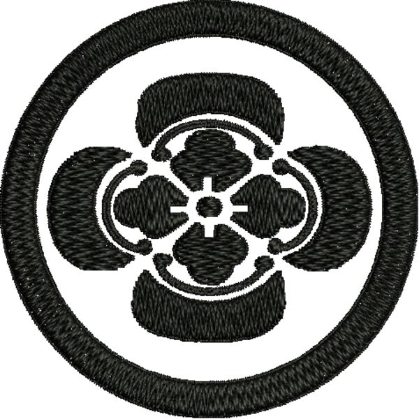 NZ577 Miniaturansicht