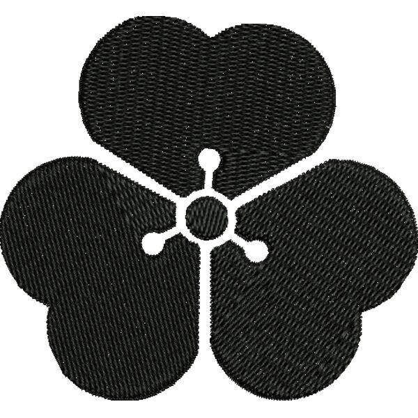 NZ557 Miniaturansicht