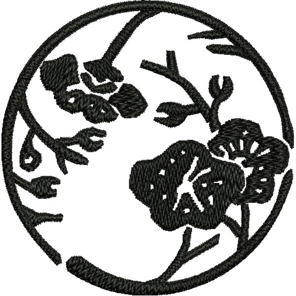 NZ535 Miniaturansicht