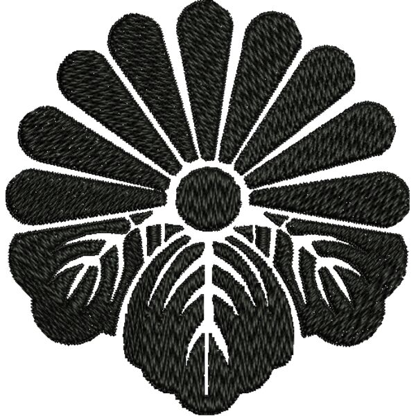 NZ574 Miniaturansicht