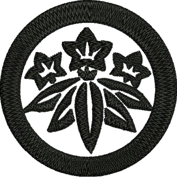 NZ558 Miniaturansicht