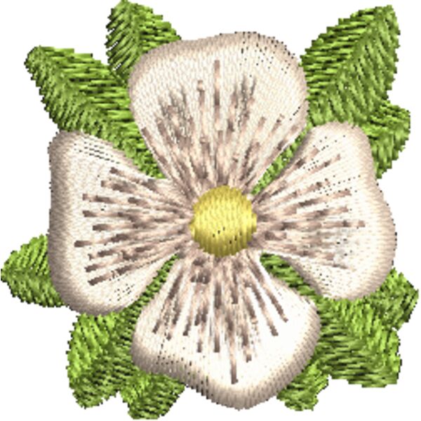 FP620 Miniaturansicht