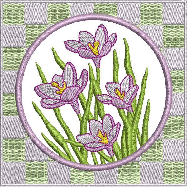 NY304 Miniaturansicht