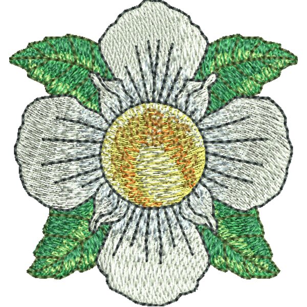 NY999 Miniaturansicht