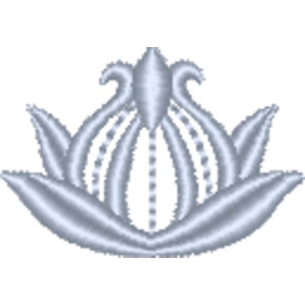 NZ800 Miniaturansicht