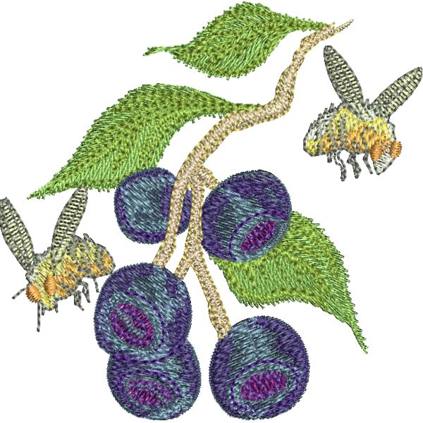 NA293 Miniaturansicht