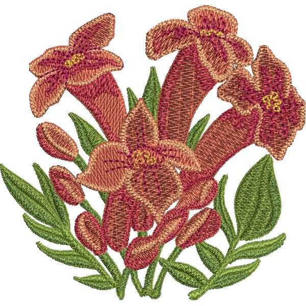 FP311 Miniaturansicht