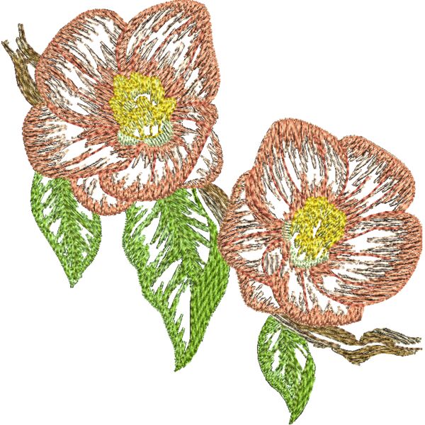 330354 Miniaturansicht