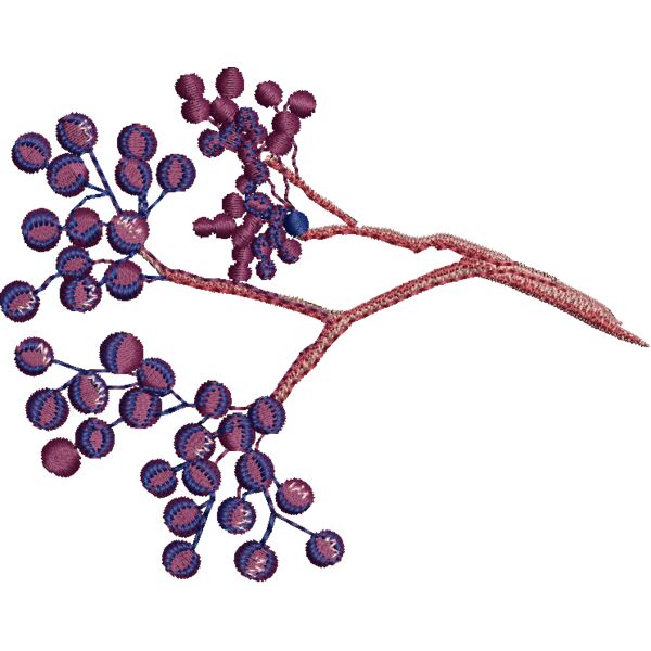 NA304 Miniaturansicht