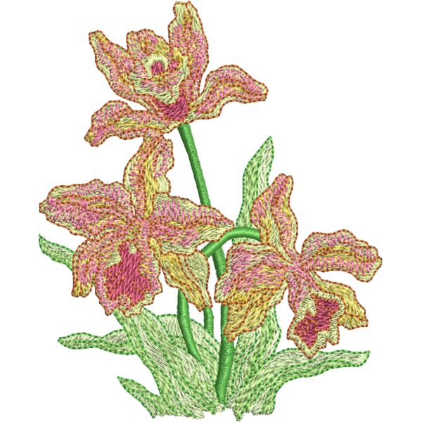 FM658 Miniaturansicht