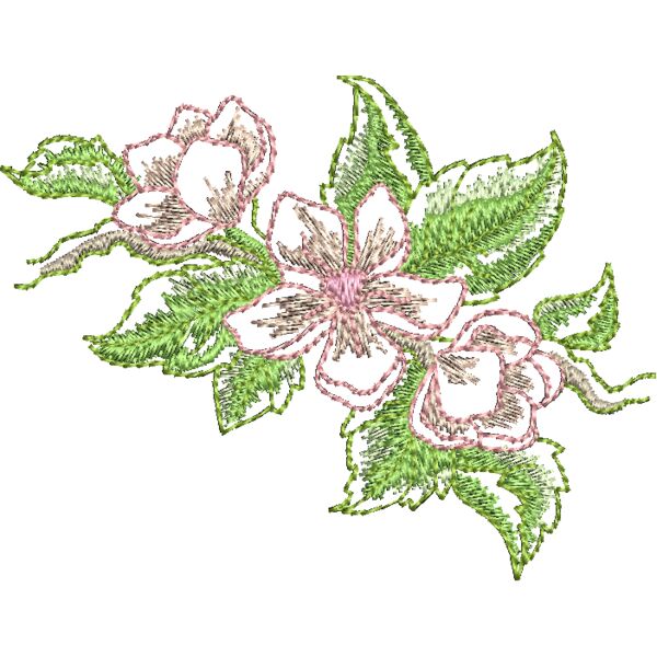 FQ224 48 Miniaturansicht