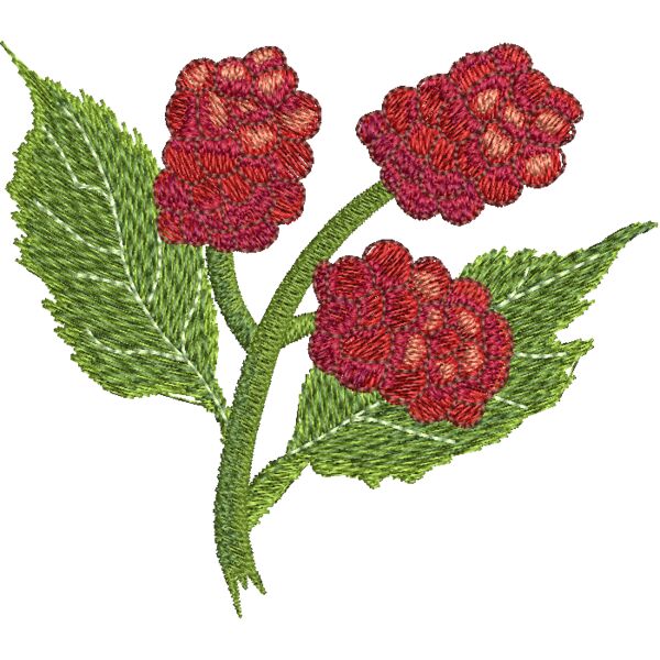 NA307 Miniaturansicht