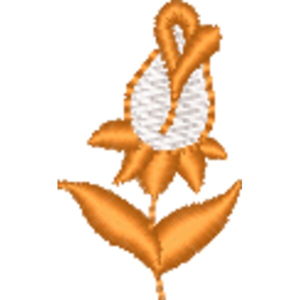 nw843 Miniaturansicht