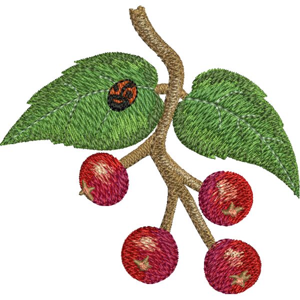 NA305 Miniaturansicht