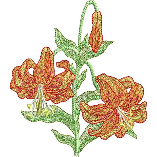 FM656 Miniaturansicht