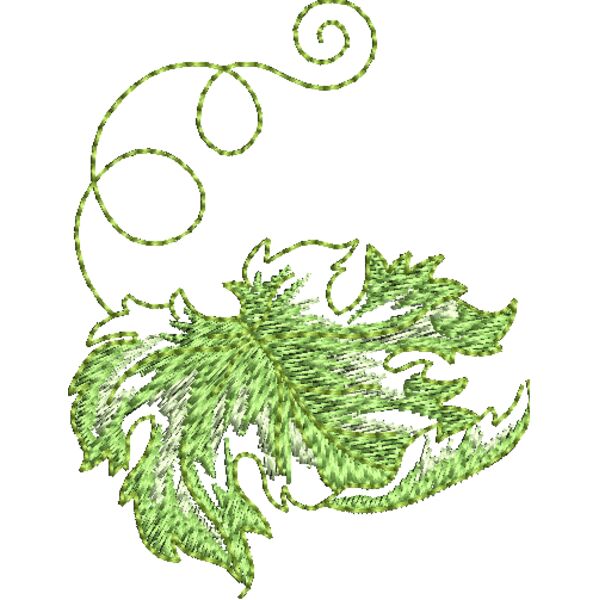 FQ229 48 Miniaturansicht