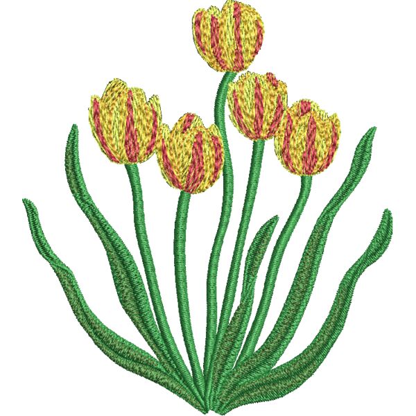 FP304 Miniaturansicht