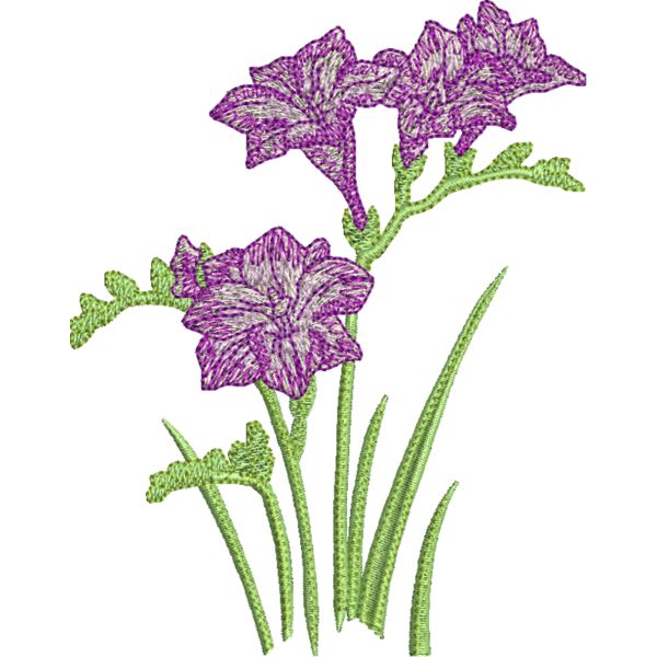 FM655 Miniaturansicht