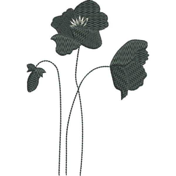 FQ302 48 Miniaturansicht