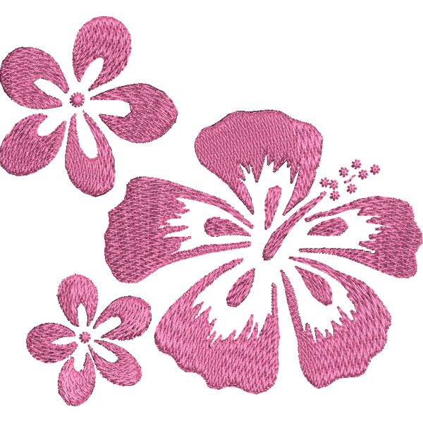 NA570 Miniaturansicht