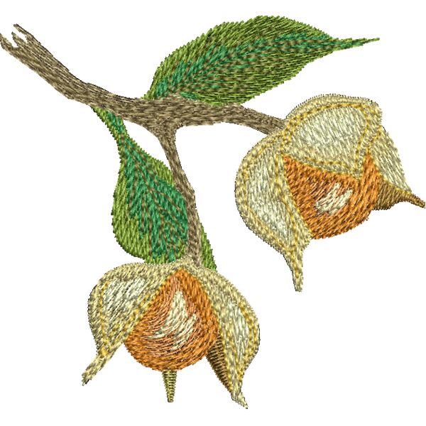 NA298 Miniaturansicht