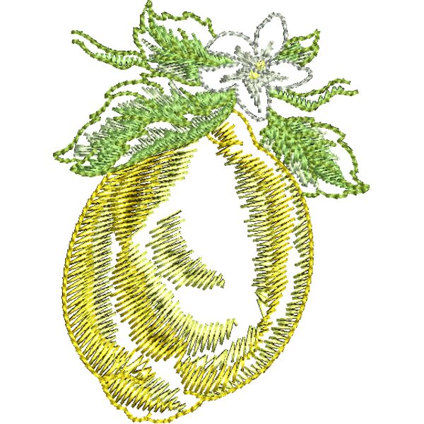 FQ233 48 Miniaturansicht