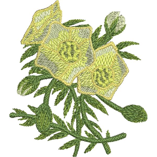 FP305 Miniaturansicht