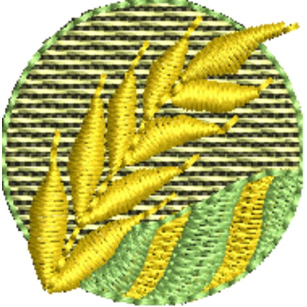 WS326 Miniaturansicht