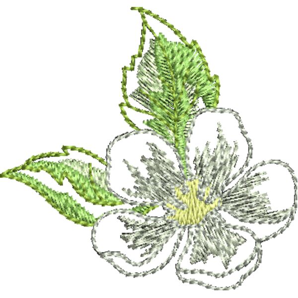 FQ231 48 Miniaturansicht