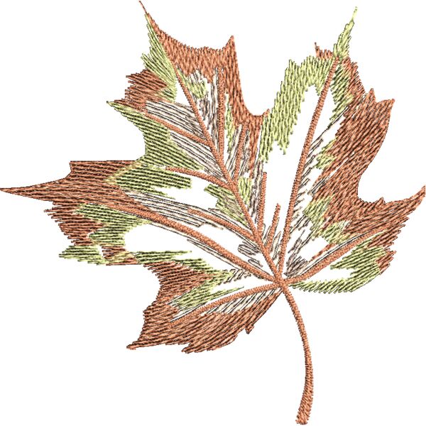 FP049 Miniaturansicht