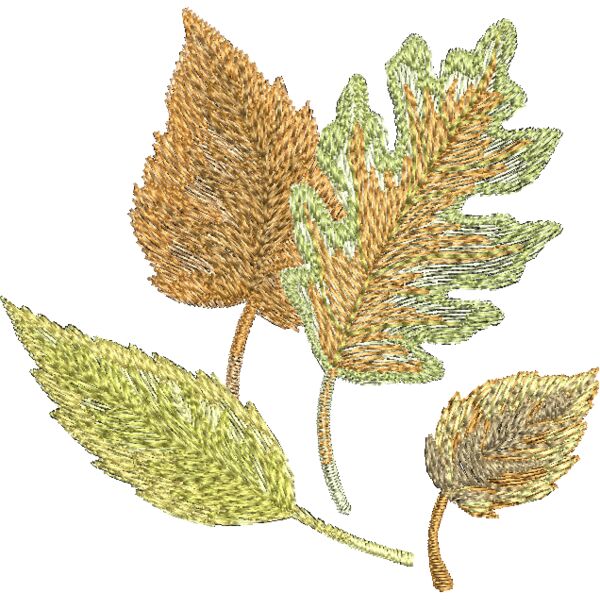 FP191 Miniaturansicht